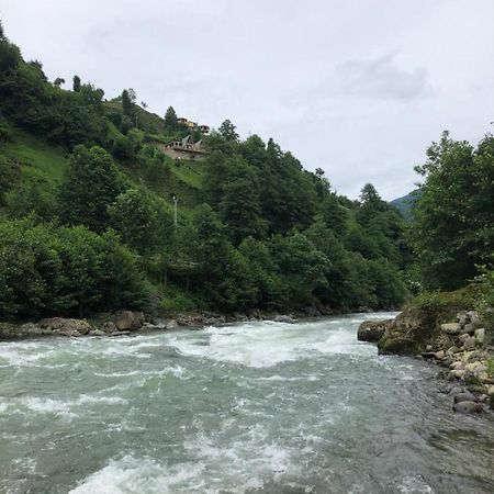Afara Bungalows Otel & Cafe Rize Exterior foto