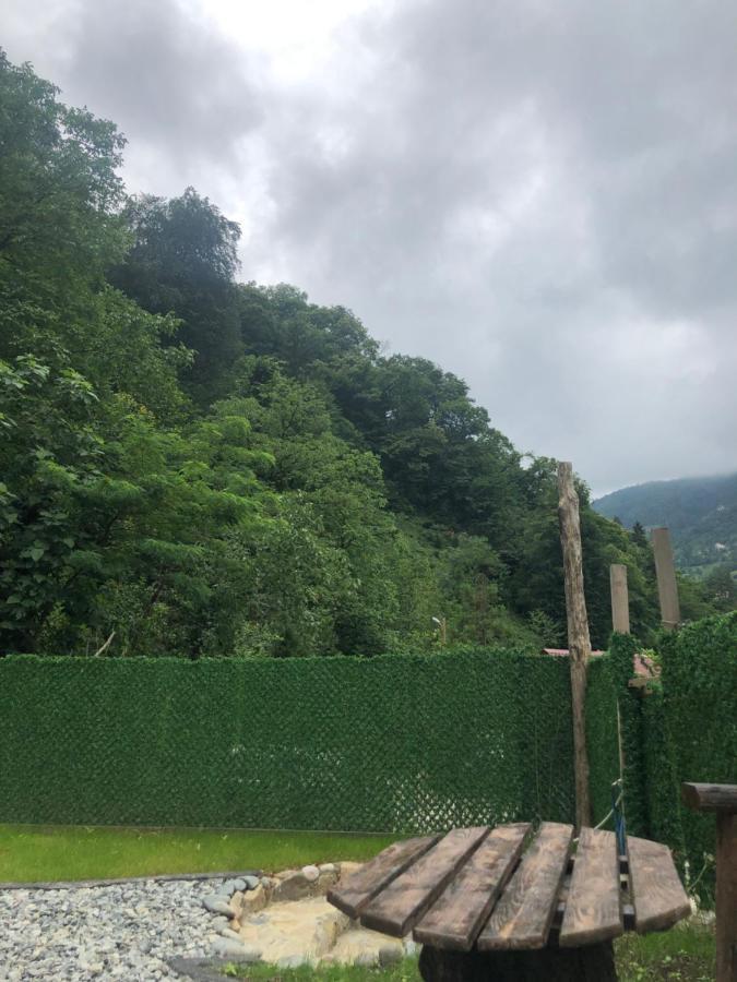Afara Bungalows Otel & Cafe Rize Exterior foto